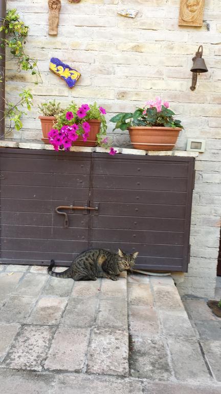 B&B La Casuccia Di Assisi Bagian luar foto