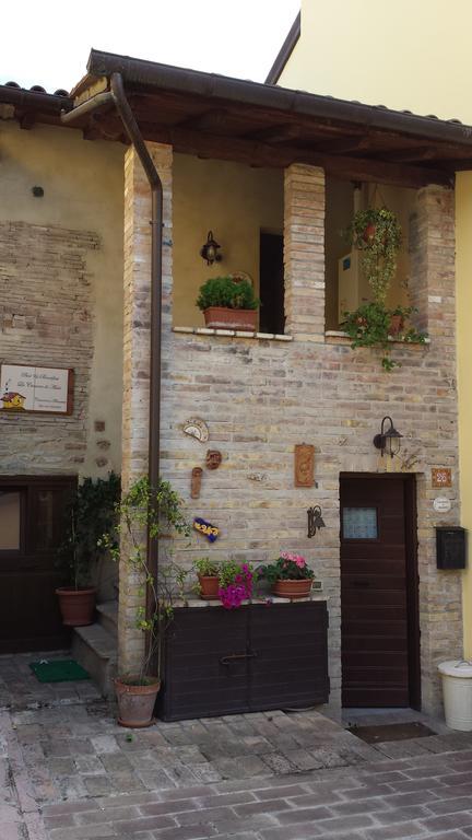 B&B La Casuccia Di Assisi Bagian luar foto